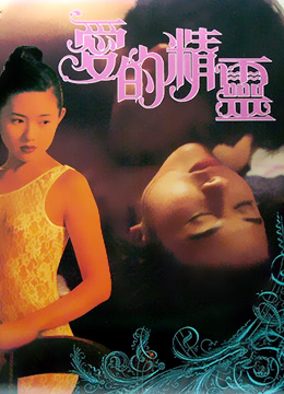 爱的精灵 B